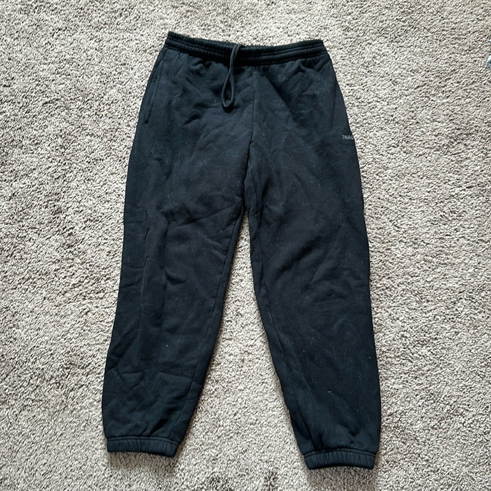 Aritzia TNA sweatpants